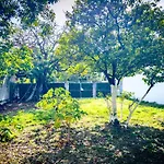 Casa Milo Isla Mujeres