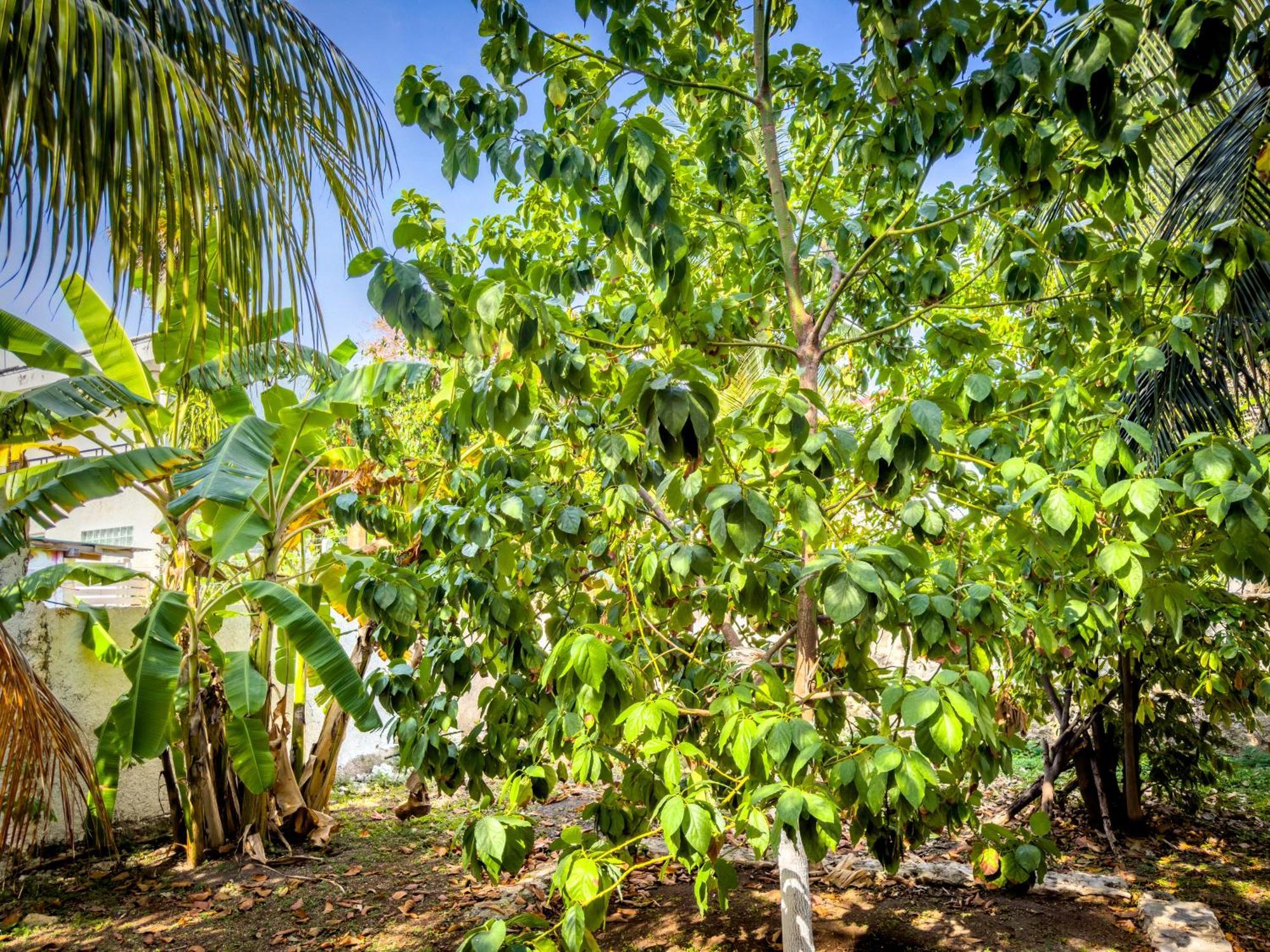 Apartamento Casa Milo Isla Mujeres