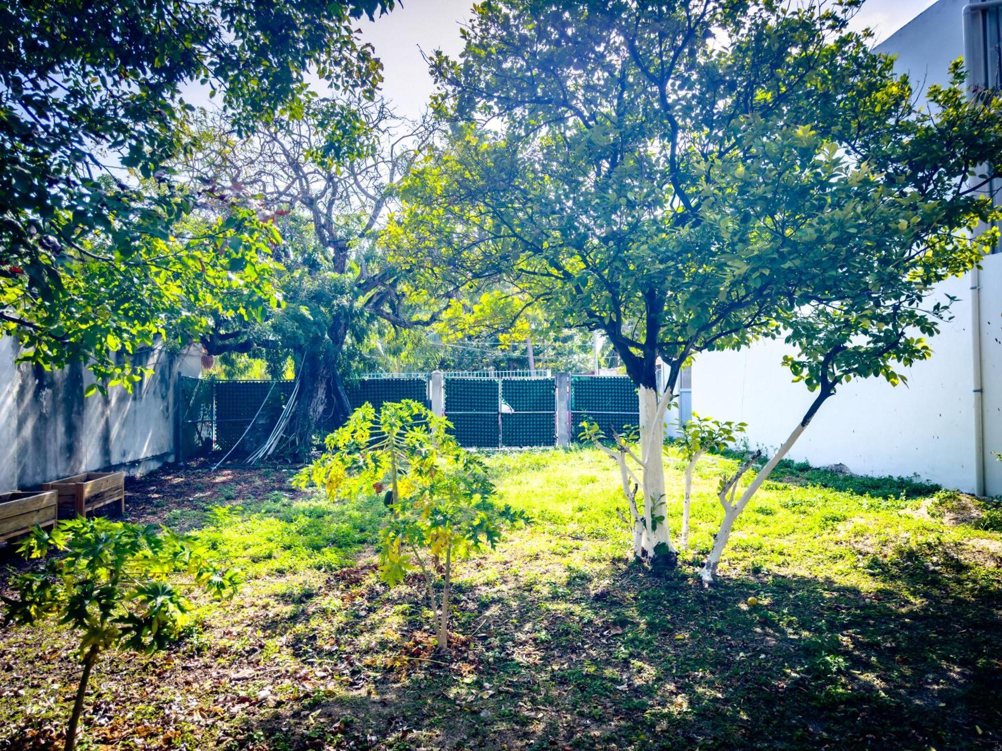 Casa Milo